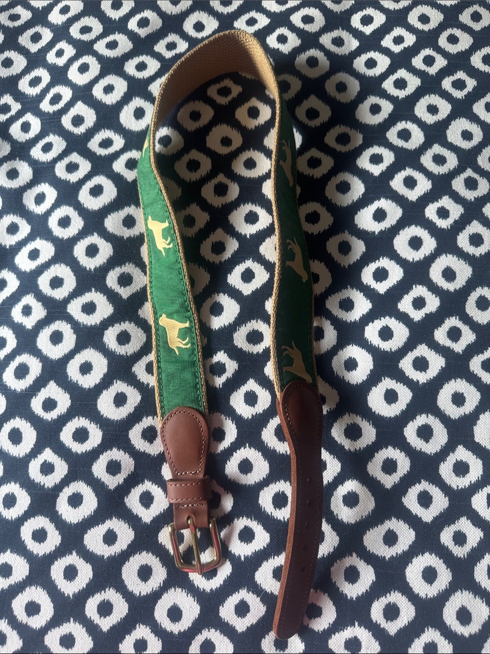 Green Kids Canvas Belt with Dog Motif and Brown Leather Trim
